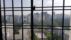 Blk 338 Clementi Avenue 2 (Clementi), HDB 5 Rooms #161192842
